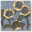 Sunflower (3)